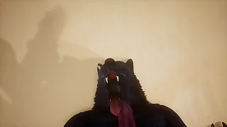 Pov two gay wolves screwing - Wildlife